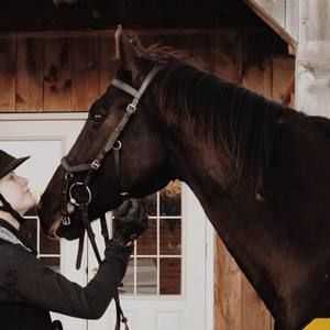 Meet your Posher, Mallory